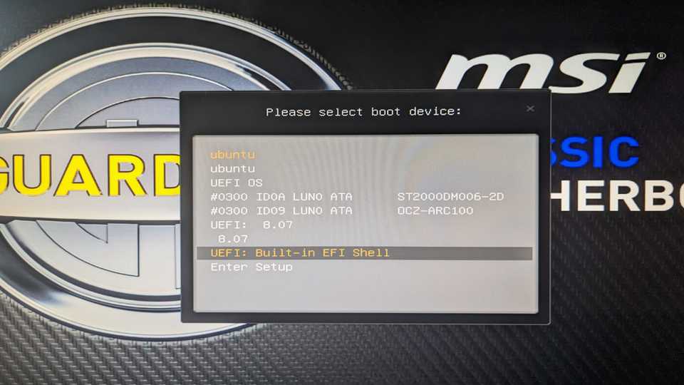 "picture of the monitor showing boot options"