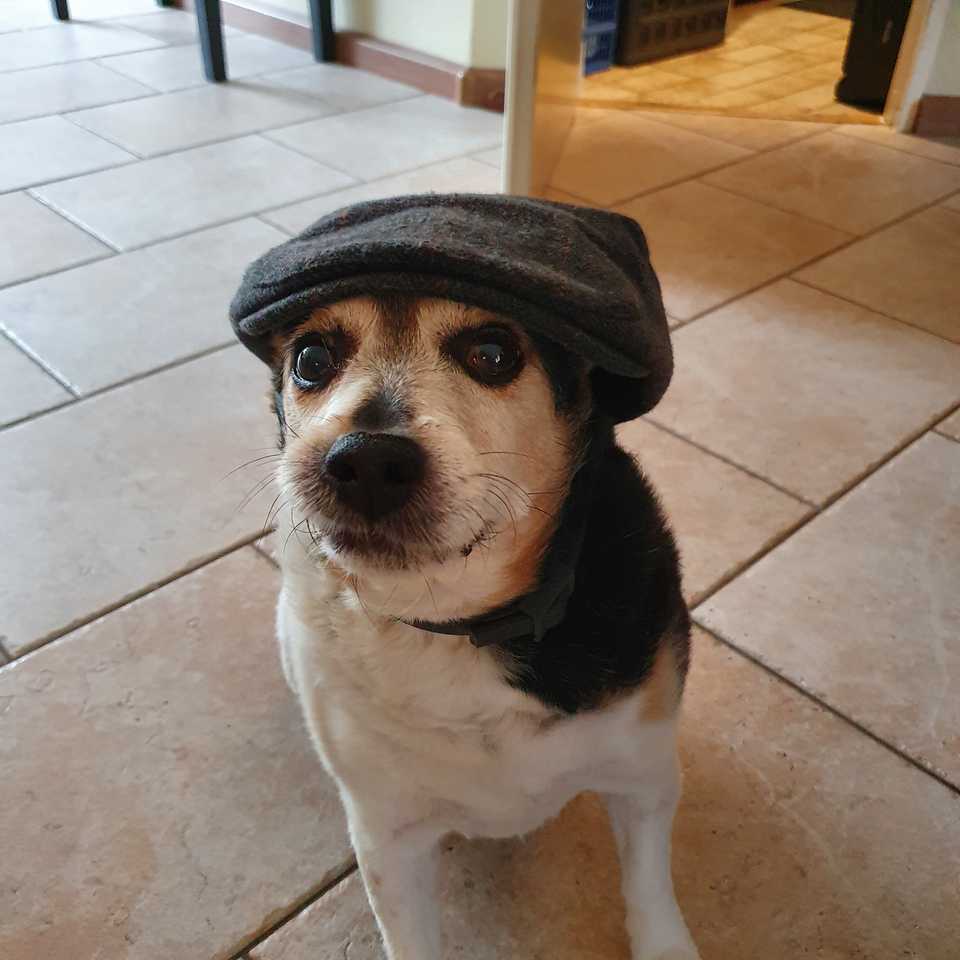 Eddy with a beige hat on