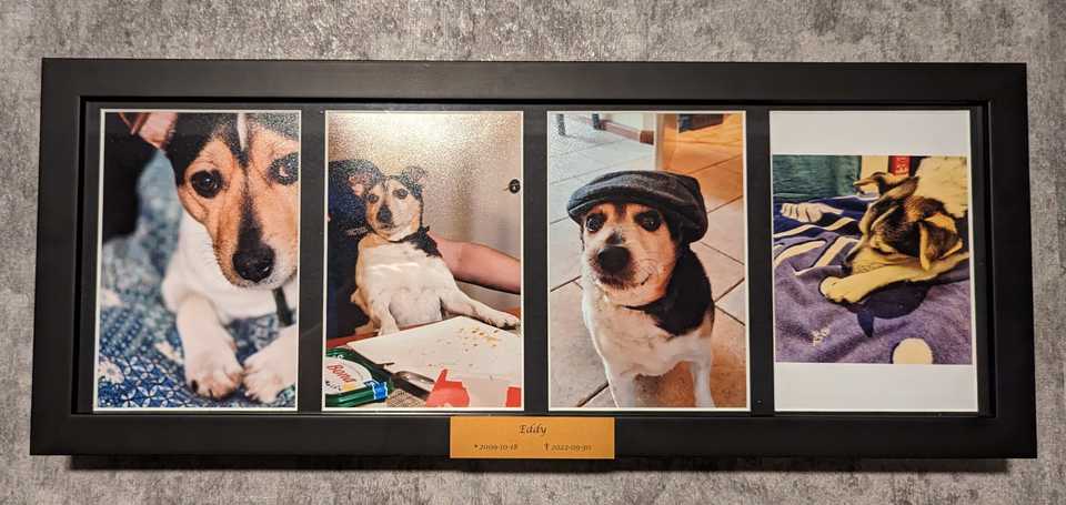 A black picture frame with 4 pictures of Eddy ranging from young to old